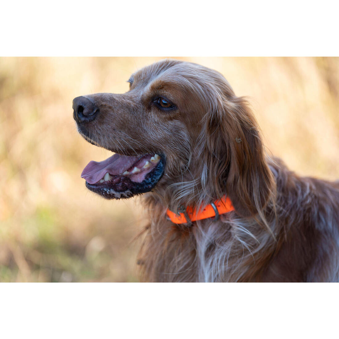 IMG_2587999