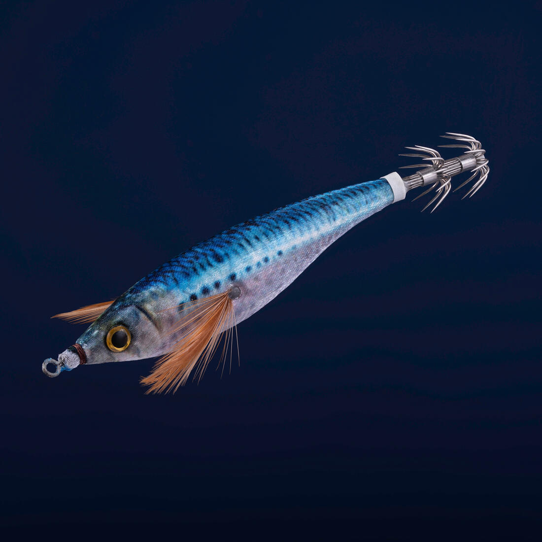 IMG_2274842