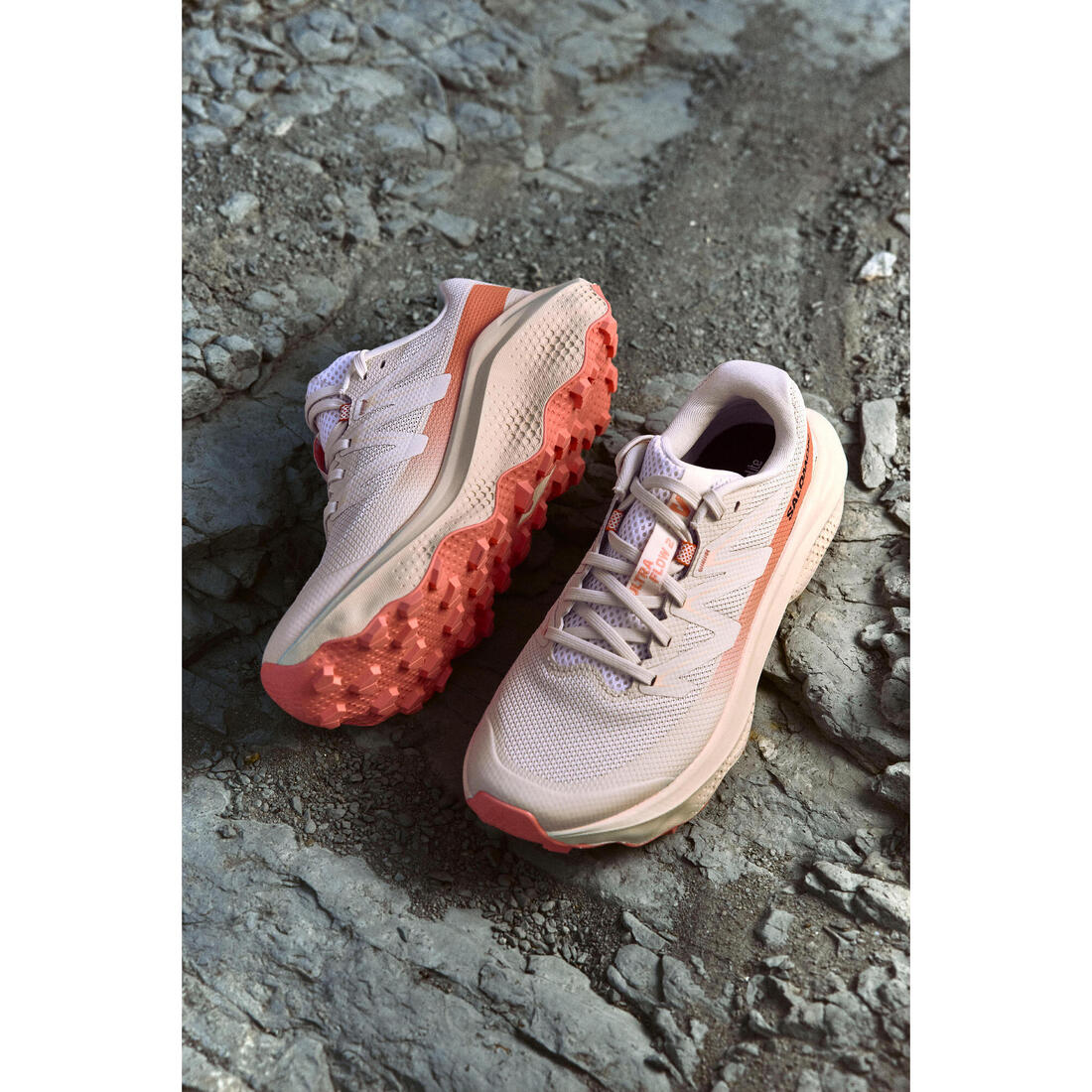 IMG_3022484