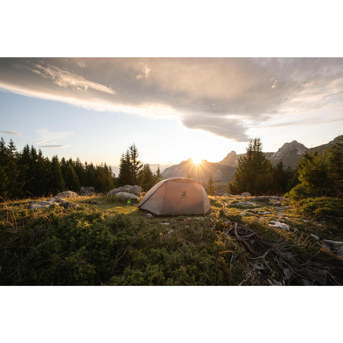 IMG_2830124
