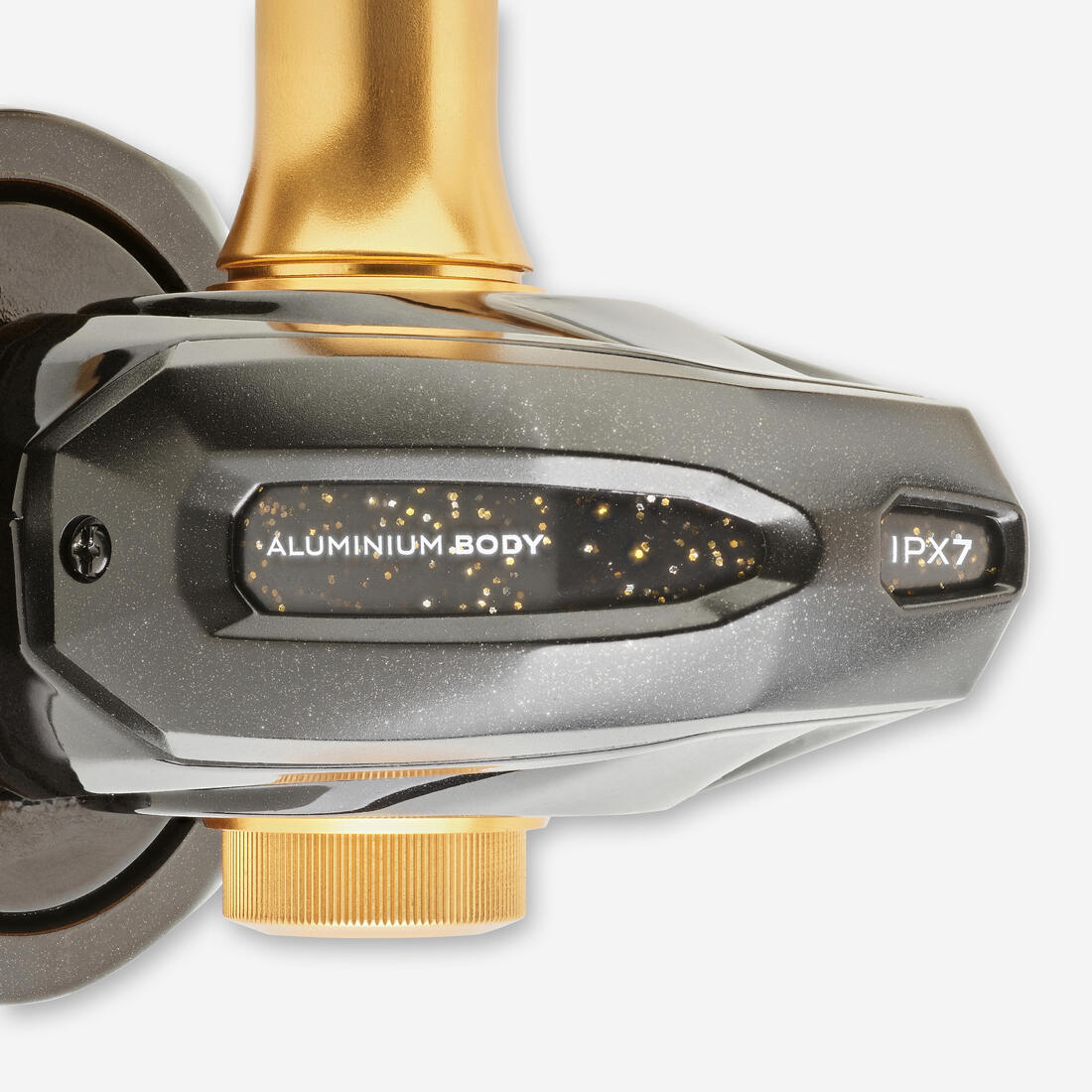 IMG_3022532