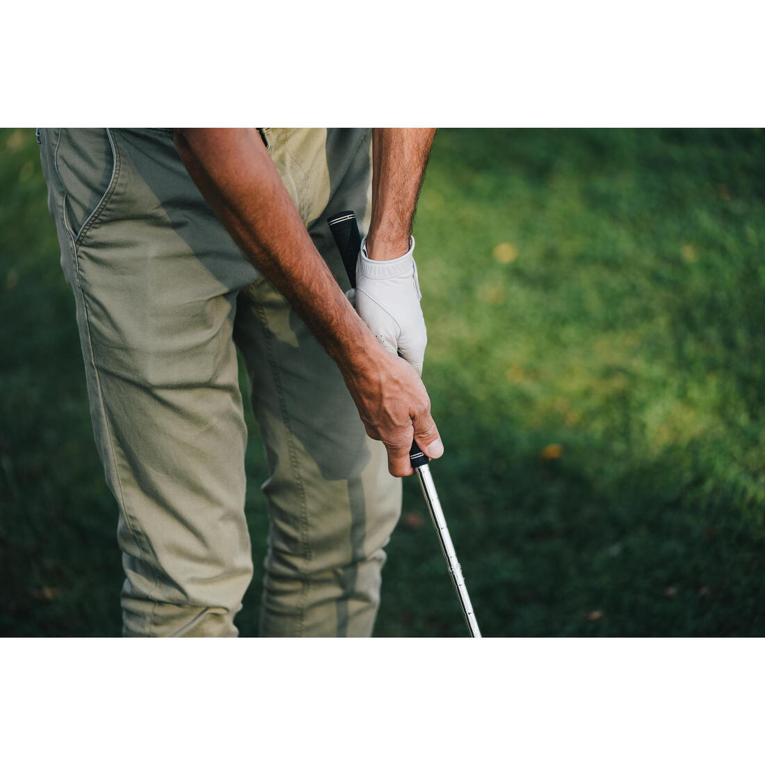 IMG_1764501
