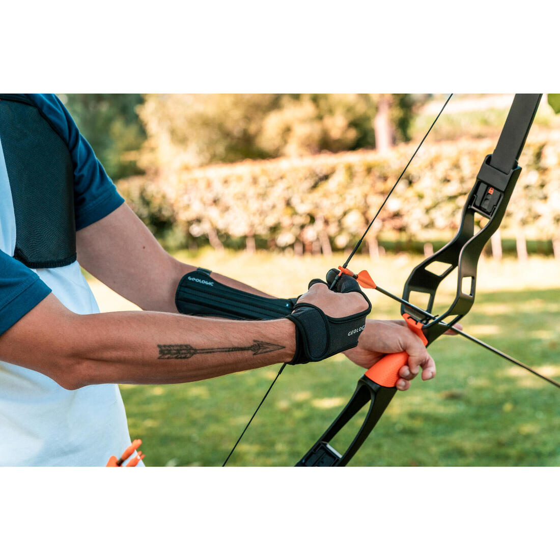 IMG_8554320_3