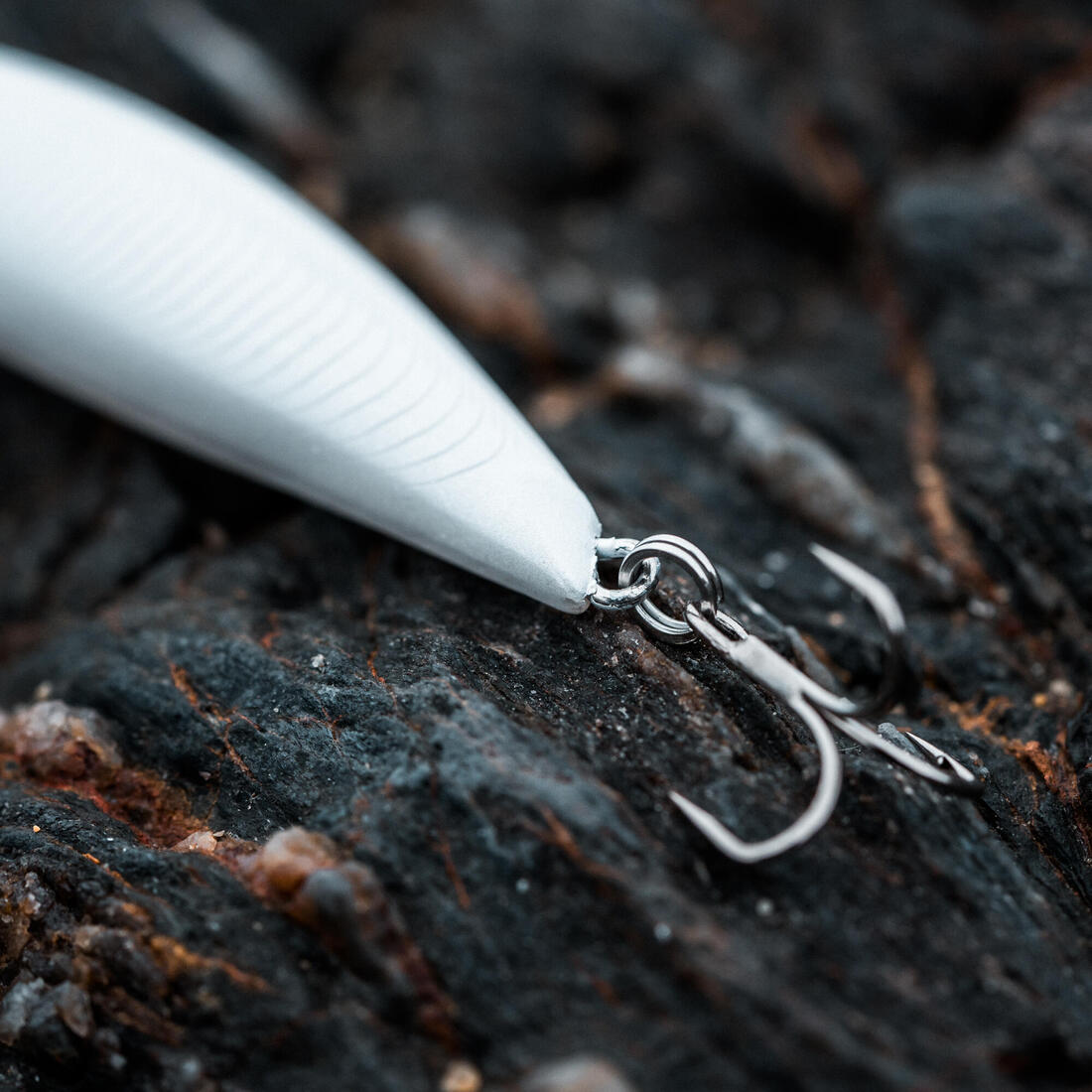 IMG_8735299_5
