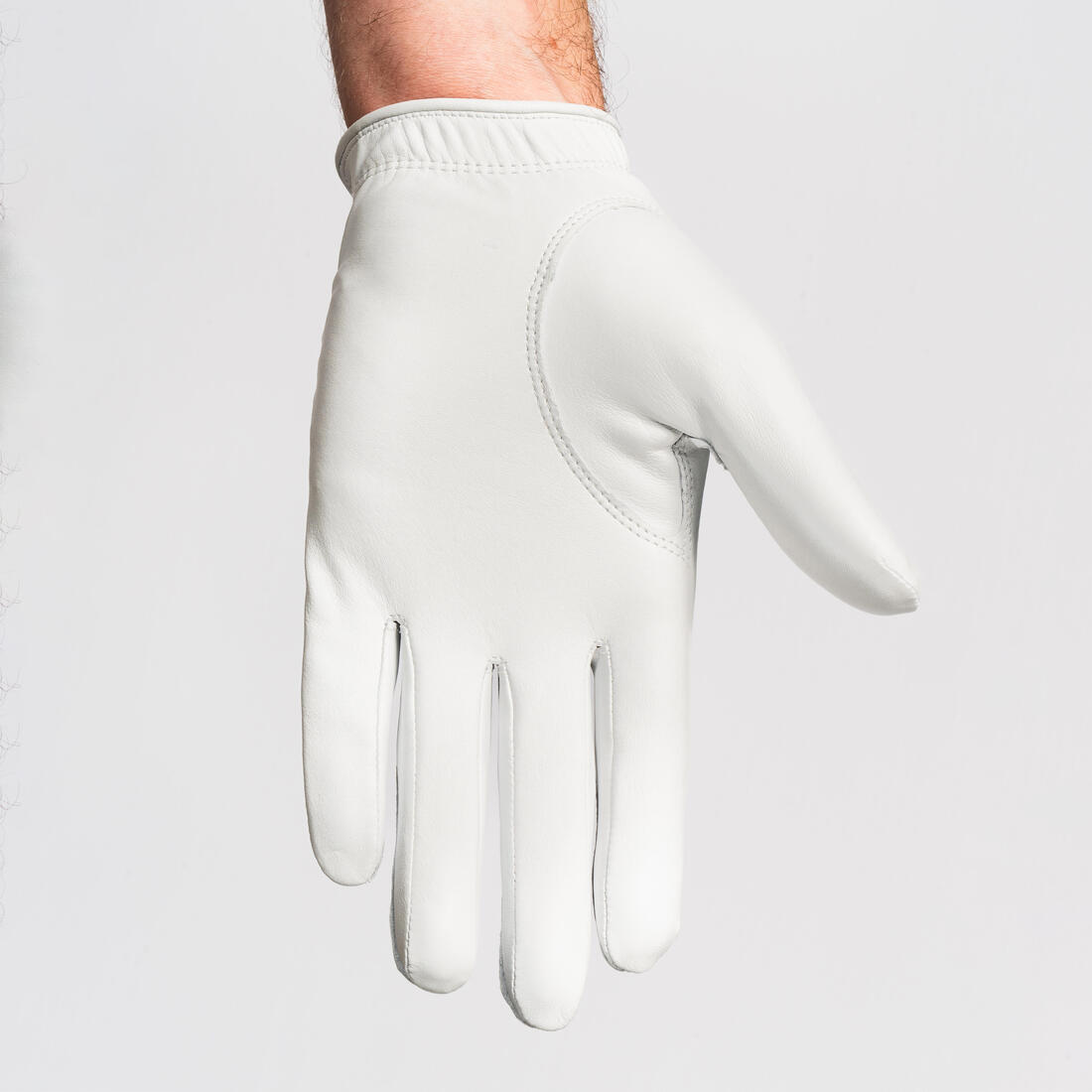 IMG_8540165_2