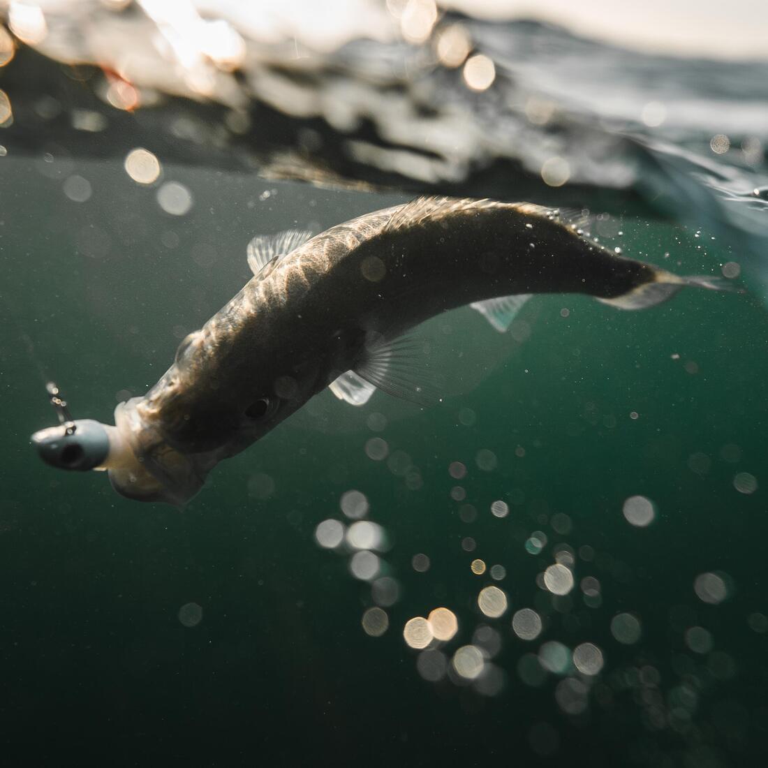 IMG_8755137_14