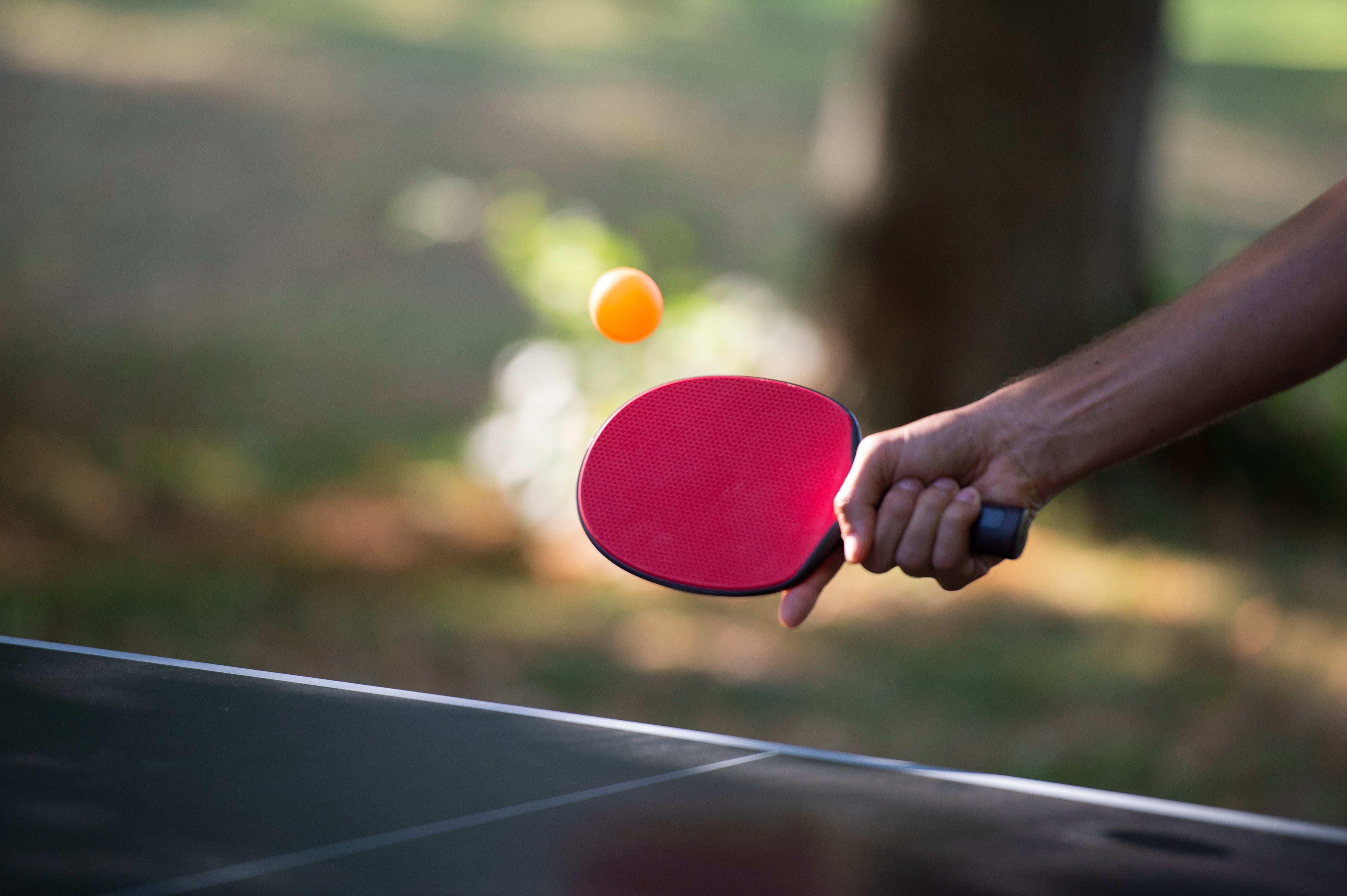 TENNIS DE TABLE