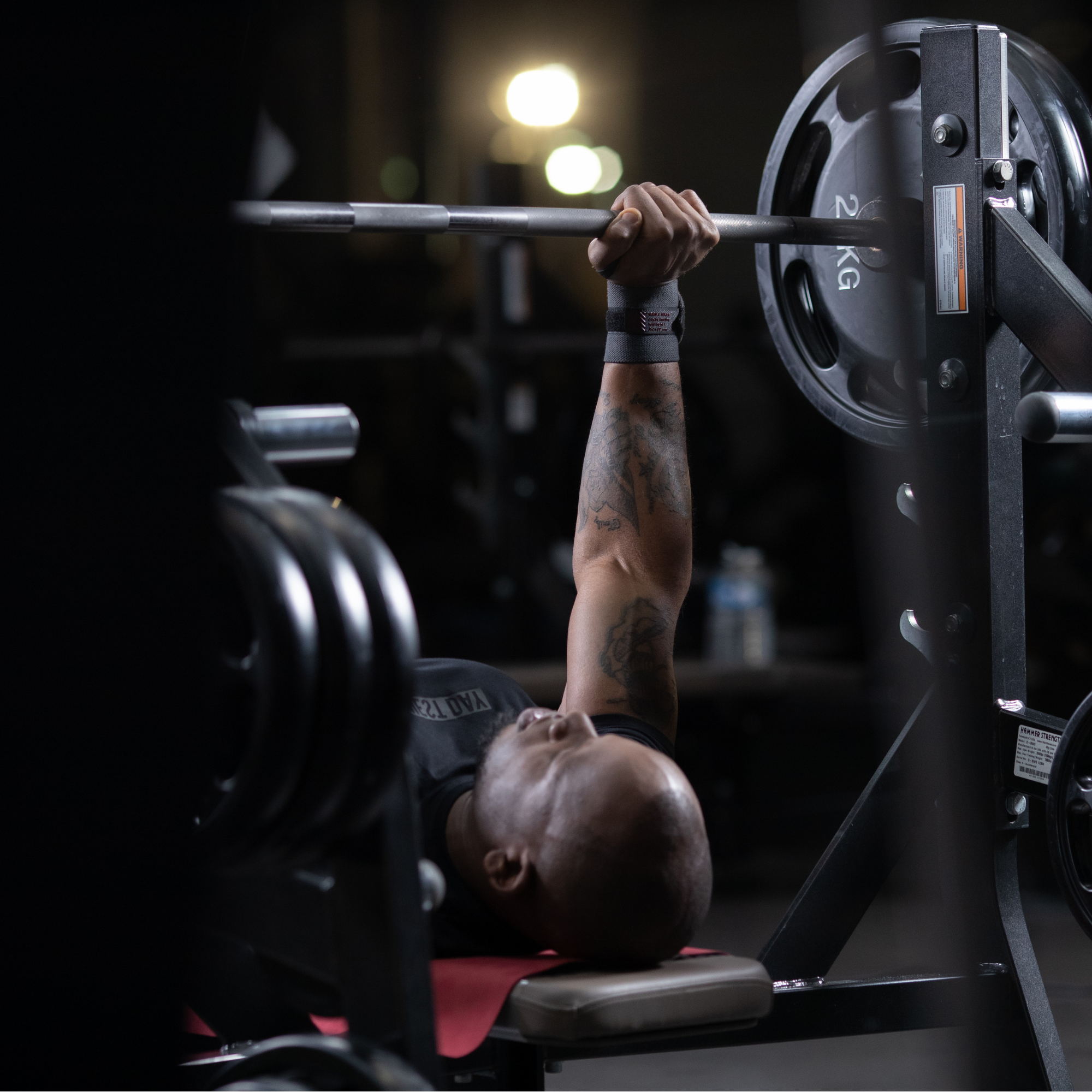 MUSCULATION