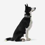 Product thumbnail 6 of 11