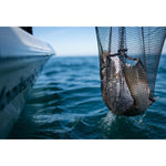 Product thumbnail 11 of 12