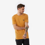 jaune ocre