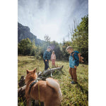 Product thumbnail 13 of 17