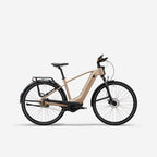 beige cendré