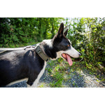 Product thumbnail 7 of 11