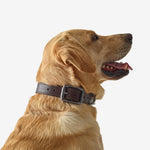 Product thumbnail 11 of 13