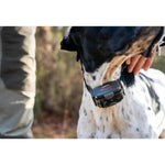 Product thumbnail 6 of 12