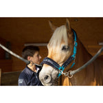 Product thumbnail 6 of 17