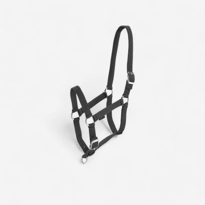 





Image, photo 1 of 16