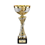 Product thumbnail 1 of 1