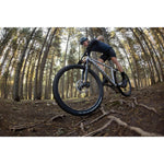 Product thumbnail 10 of 13