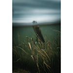 Product thumbnail 6 of 8