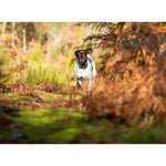 Product thumbnail 8 of 12