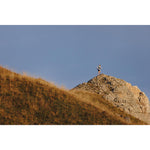 Product thumbnail 14 of 15