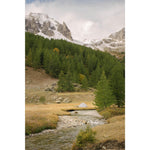 Product thumbnail 21 of 21