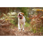 Product thumbnail 7 of 12