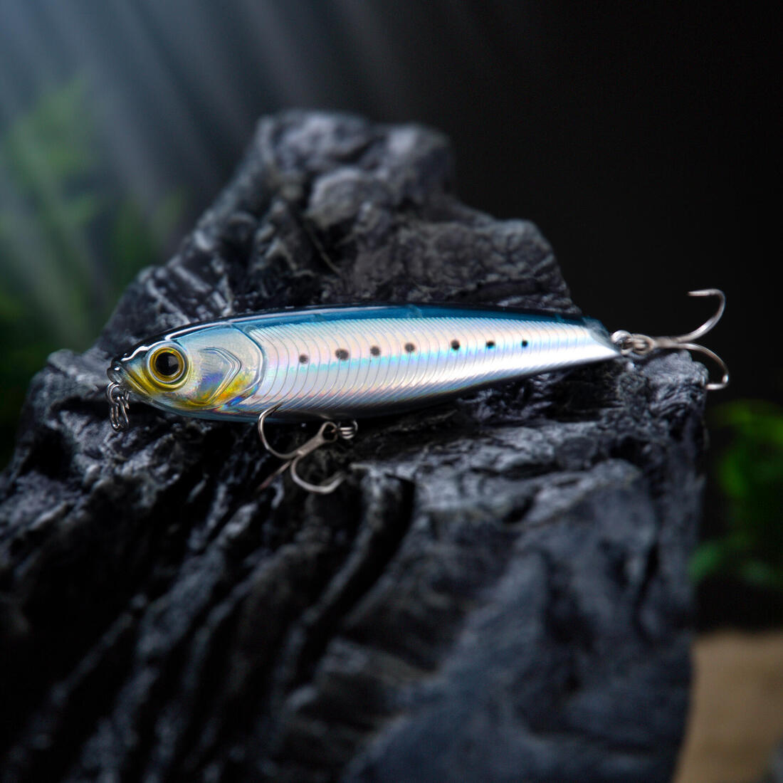 IMG_1992472
