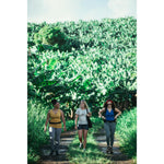 Product thumbnail 16 of 16