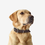 Product thumbnail 12 of 13