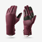 violet bordeaux