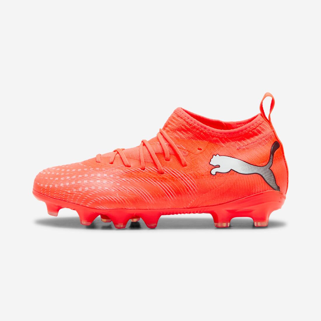 IMG_8993532_1