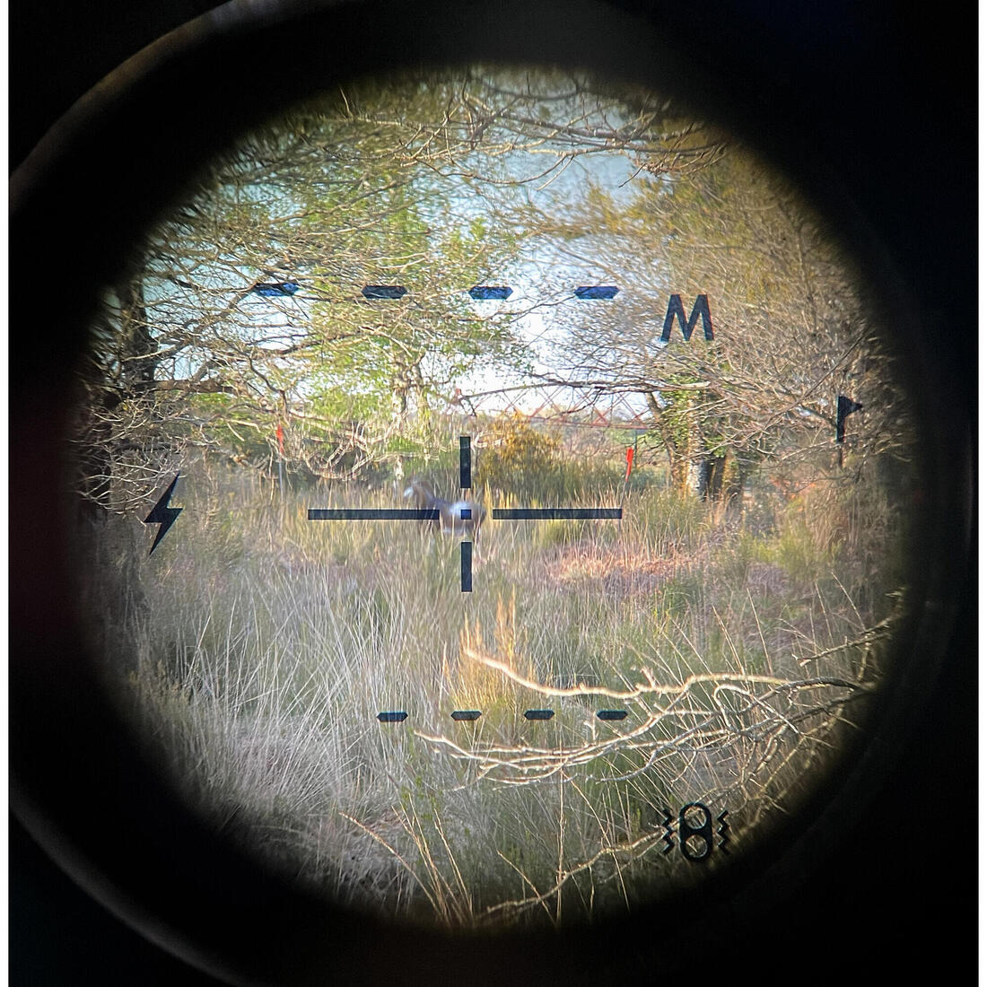 IMG_8559425_8