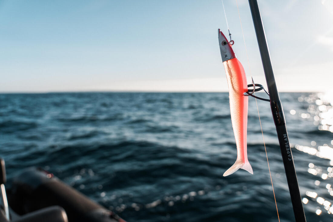 IMG_8646596_14