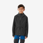 gris graphite