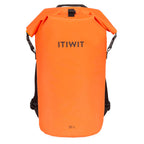 orange papaye