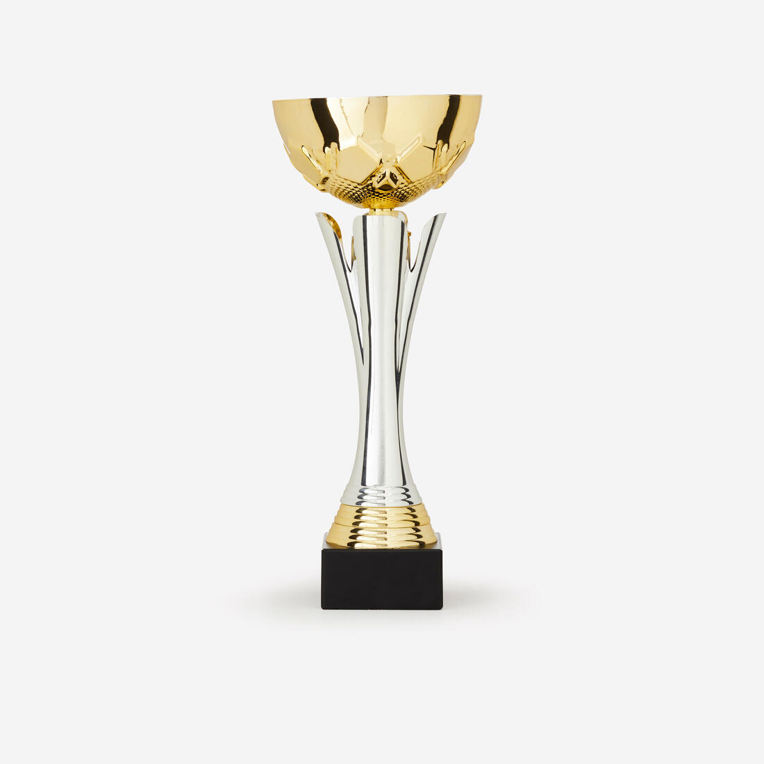 IMG_1008364688_1
