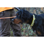 Product thumbnail 11 of 11