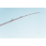 Product thumbnail 13 of 15