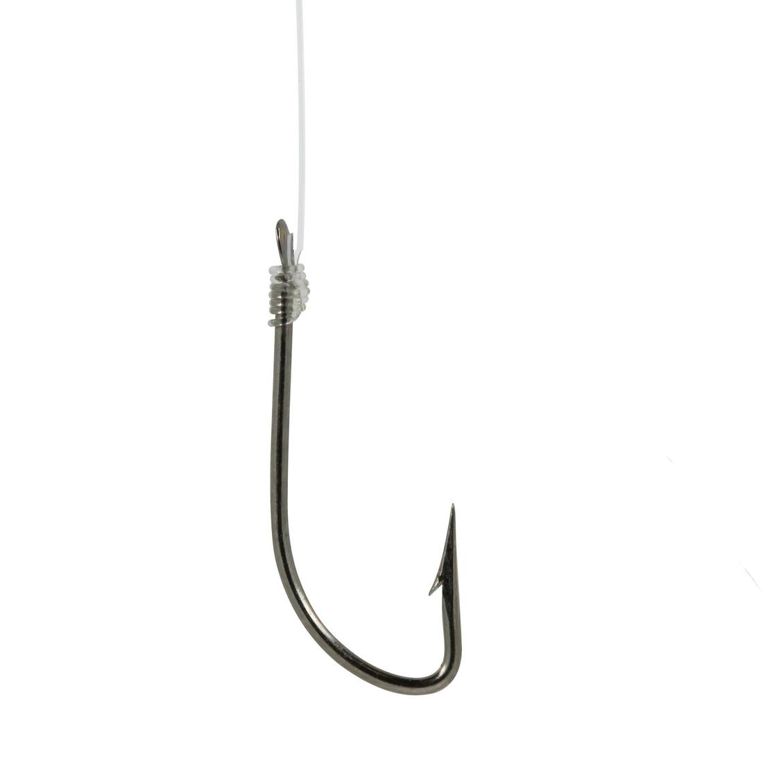IMG_8349370_10