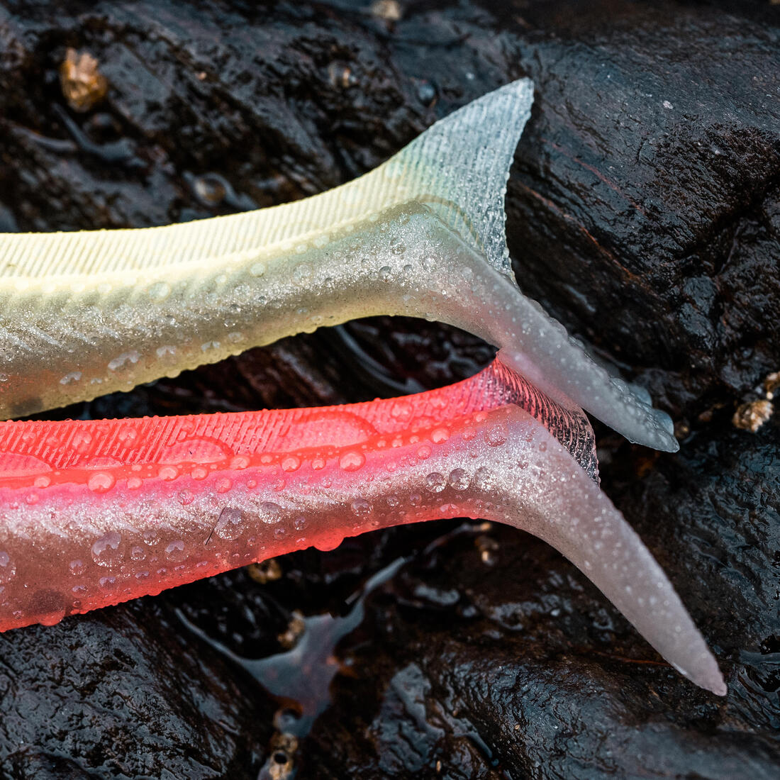 IMG_8646596_9