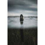 Product thumbnail 8 of 8