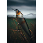 Product thumbnail 5 of 8