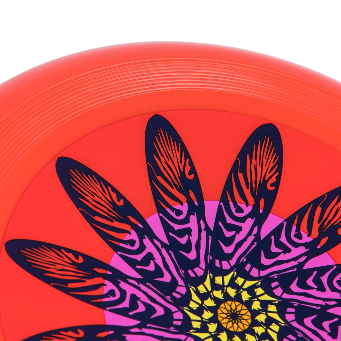 IMG_8654321_6