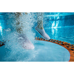 Product thumbnail 9 of 12