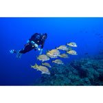 Product thumbnail 18 of 19