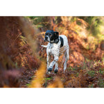 Product thumbnail 4 of 12