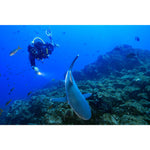 Product thumbnail 10 of 10